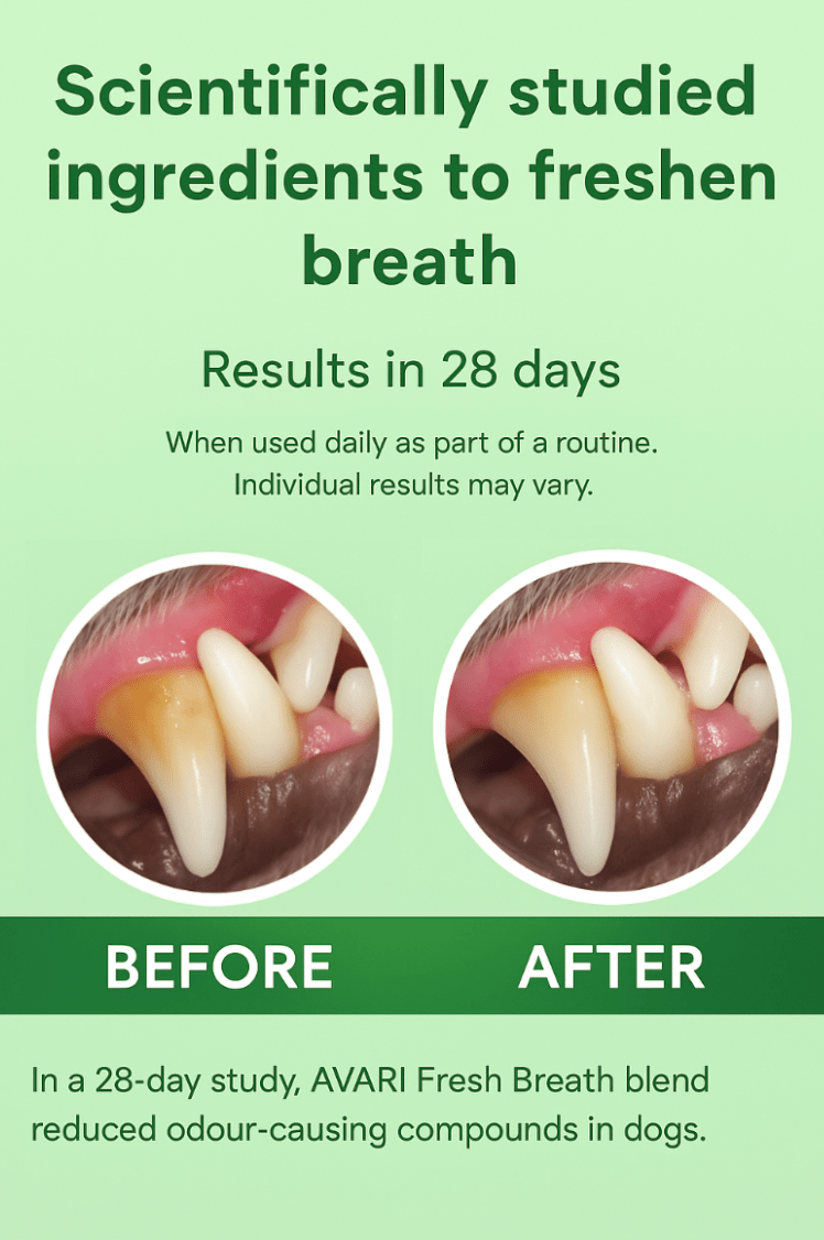 Dog Dental Powder. - Avari